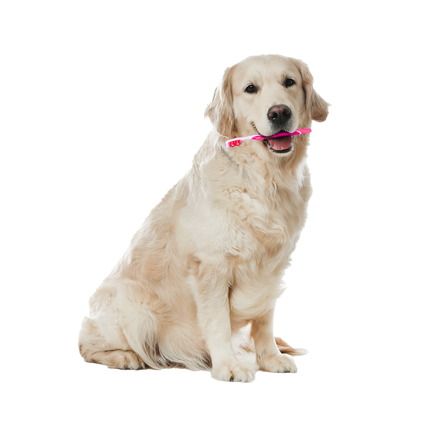image_not_found