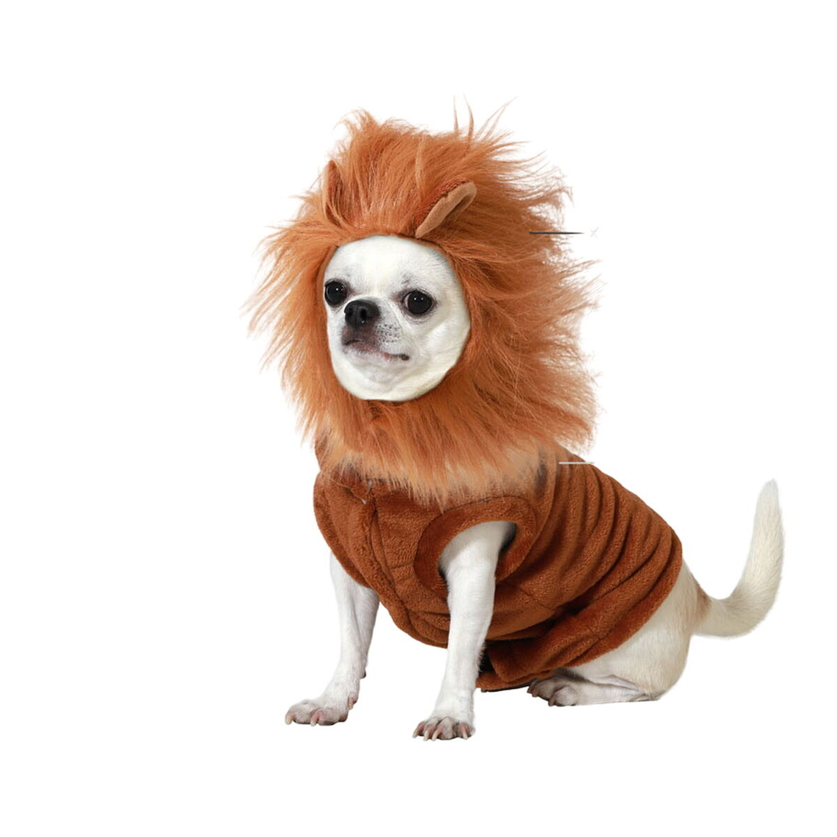 image_not_found