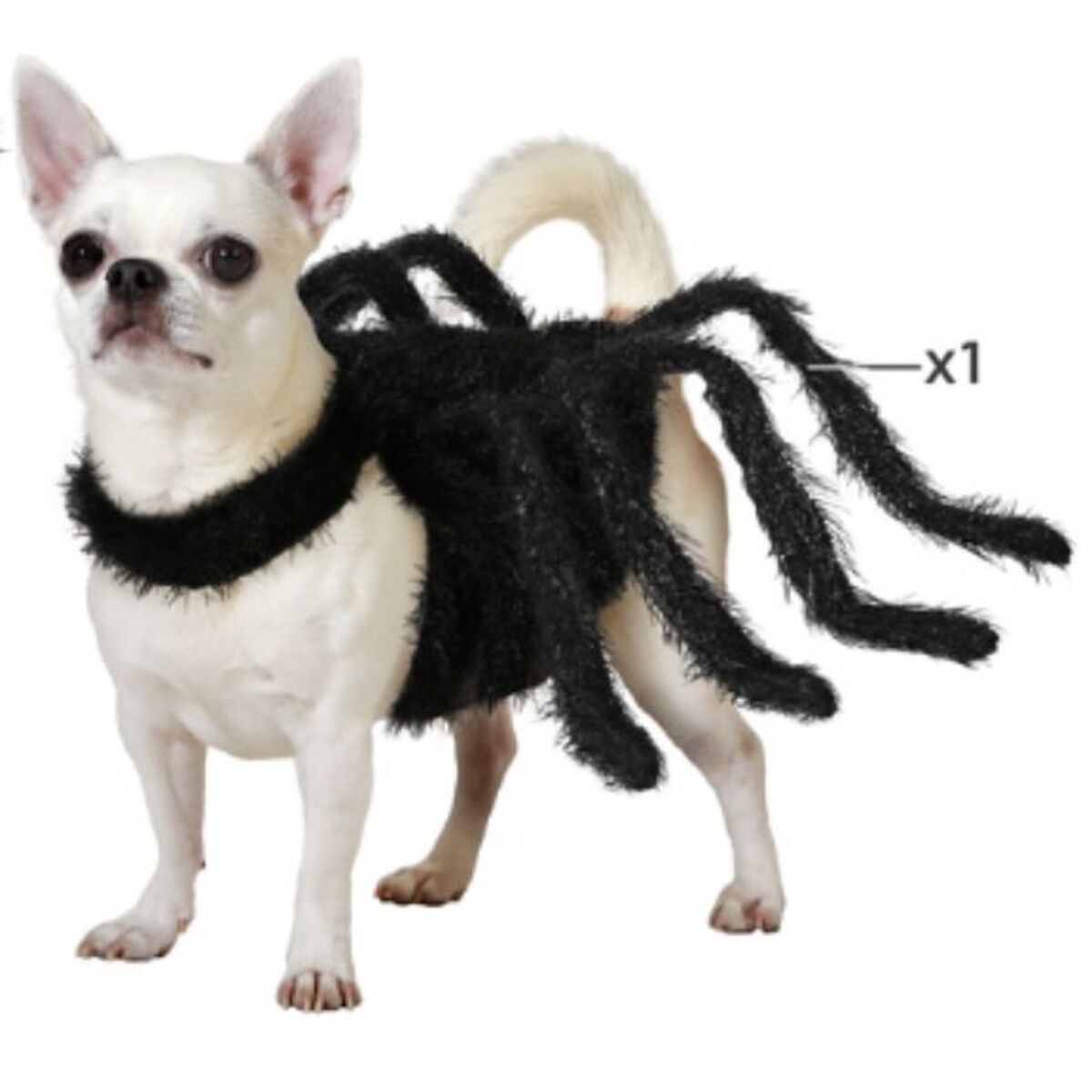 image_not_found