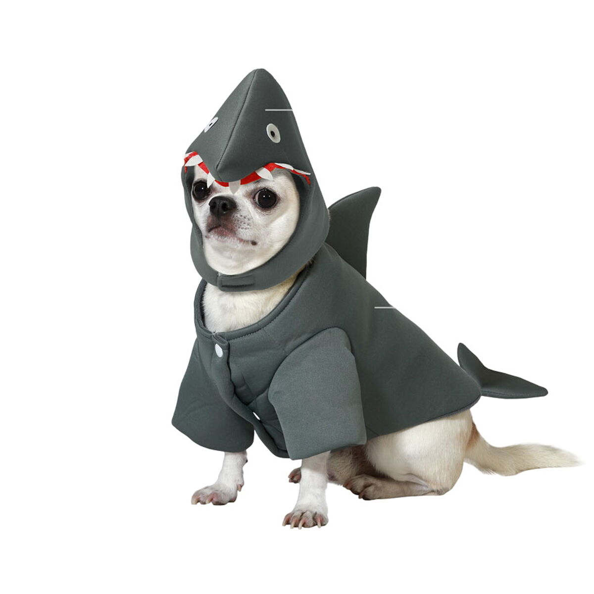 image_not_found