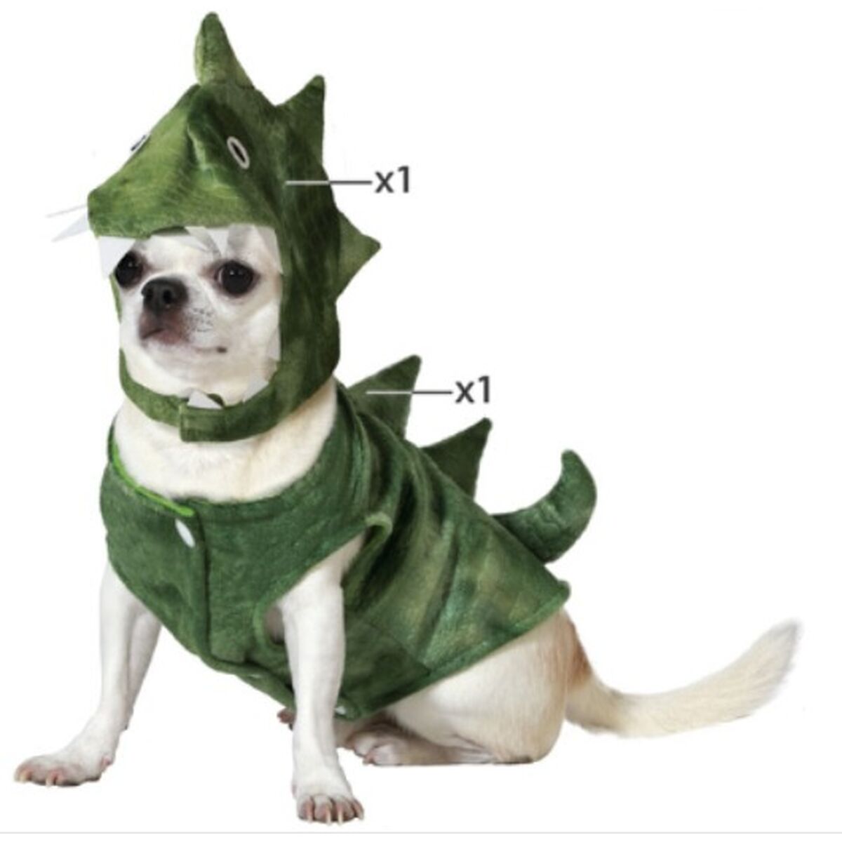 image_not_found