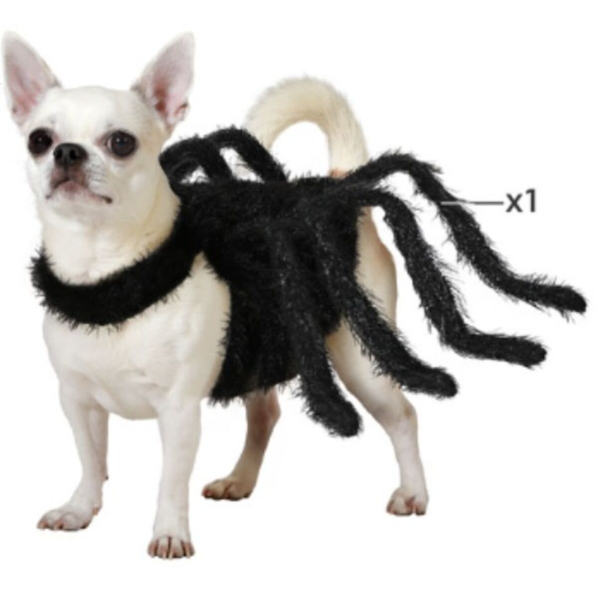 image_not_found